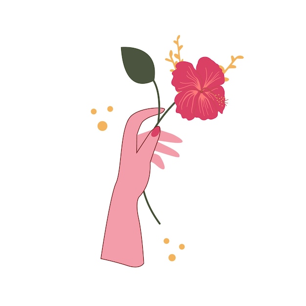 Вектор Женская изящная рука держит гибискус, нарисованный вручную векторной иллюстрацией цветок