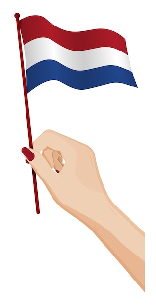 female hand gently holds small flag of holland netherlands holiday design element cartoon vector on white background