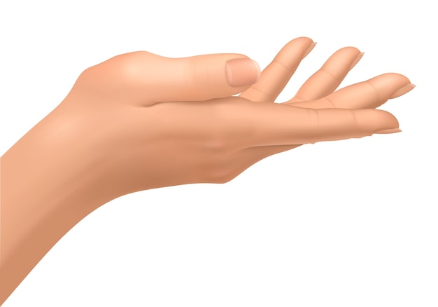 Vector female hand open to hold an object