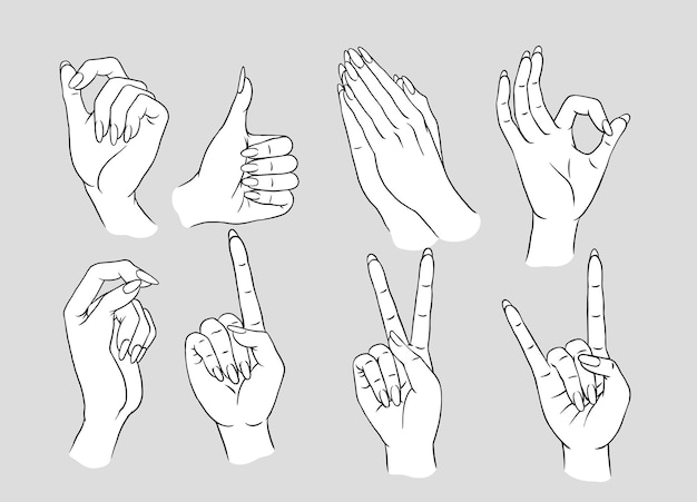 Vector female hand pose set hand drawn