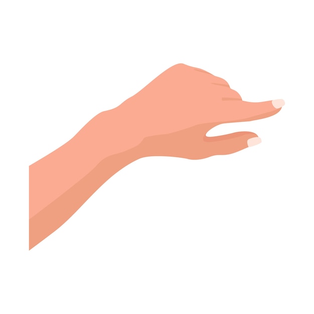 Женская рука. векторная иллюстрация на белом фоне. жест рукой.
