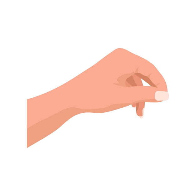 Female hand. Vector illustration isolated on a white background. Hand gesture.