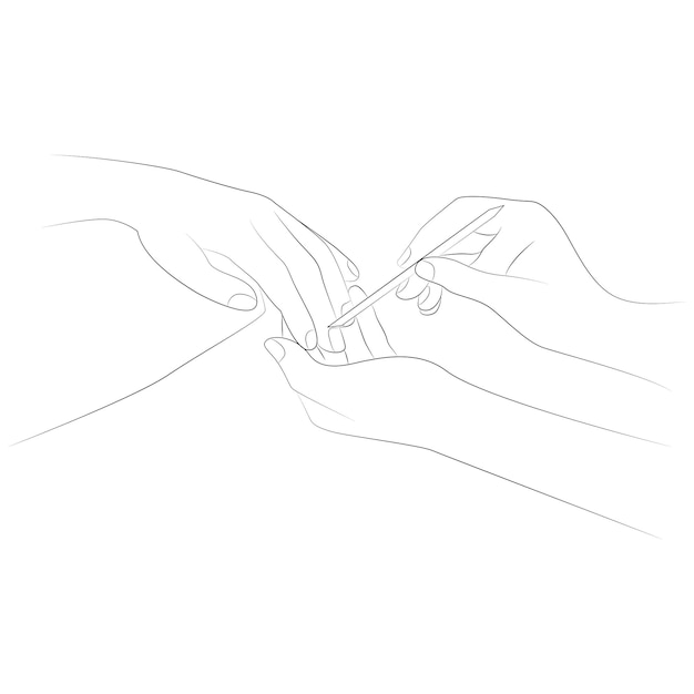 Female hands doing manicure to the client line art Female hands line vector drawing on white