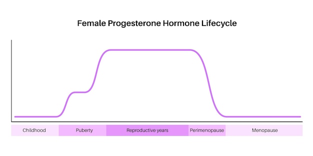 Female hormones lifestyle graph Progesterone diagram in the woman body in infancy puberty reproductive years perimenopause and menopause maximum and minimum value level medical flat vector