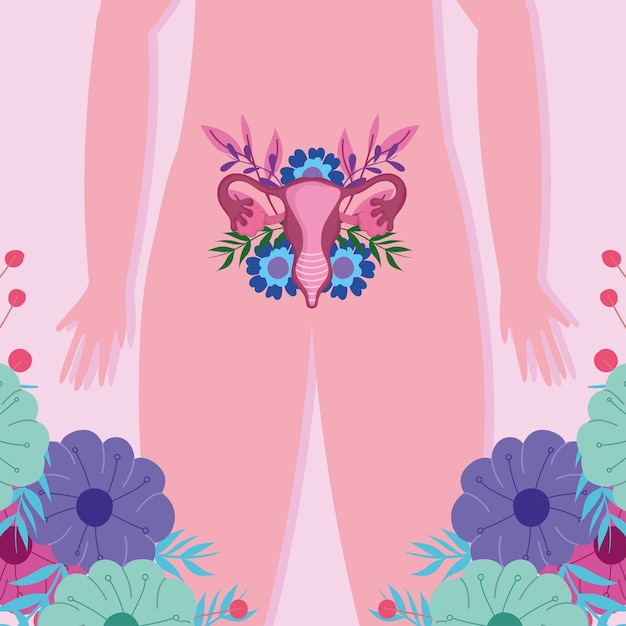 Вектор Женская репродуктивная система человека, женское тело гениталии цветы иллюстрация