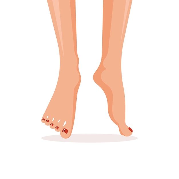 Vector female legs with a pedicure vector illustration in flat style