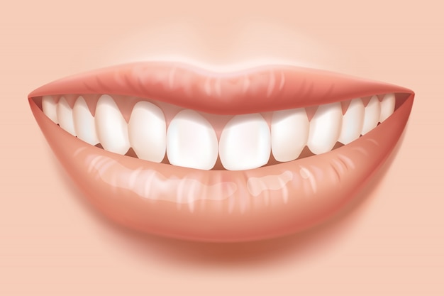 Vector female lips in a smile.