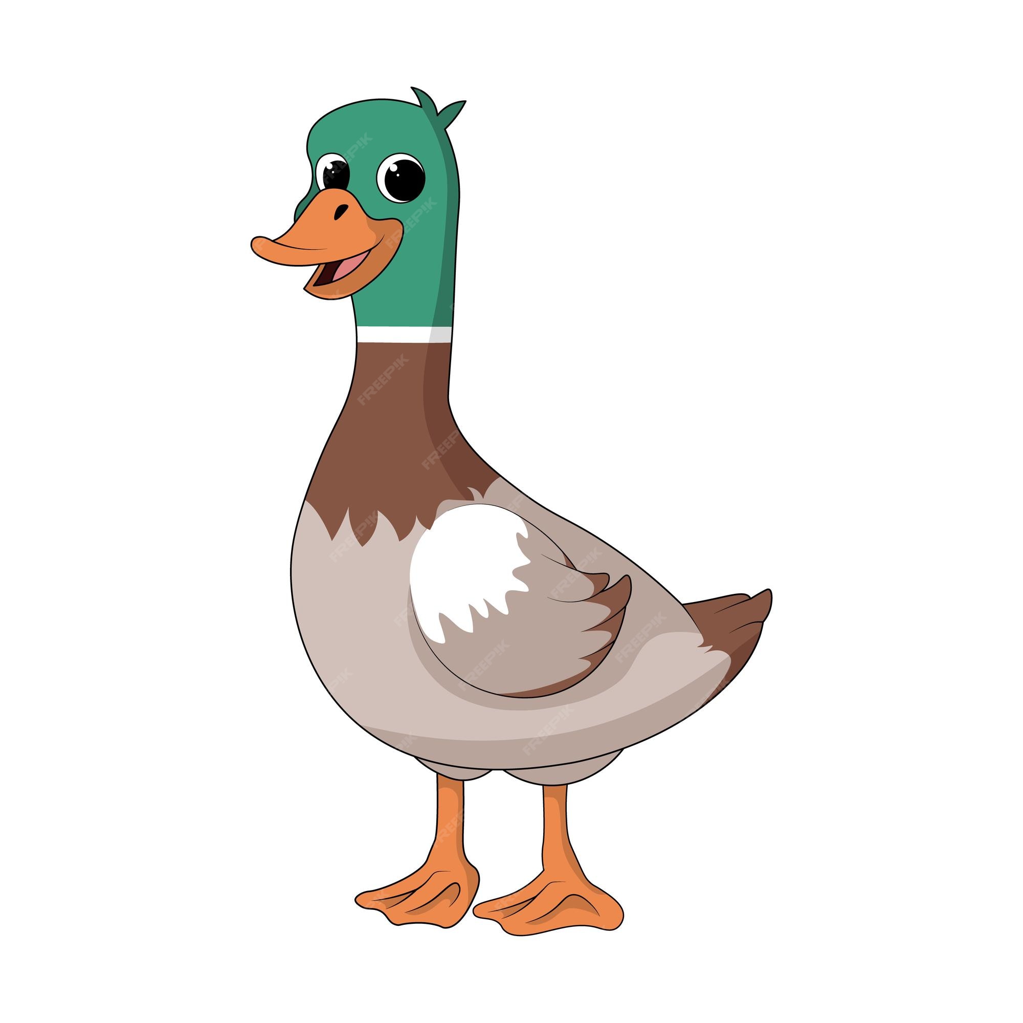 Premium Vector | Female Mallard Duck Cartoon Clipart