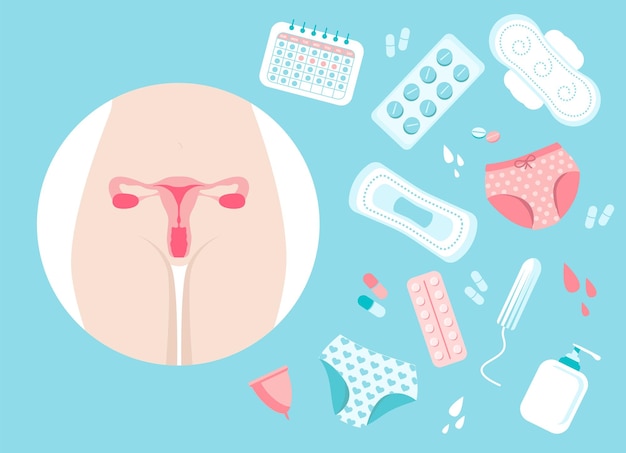 Vettore sistema riproduttivo femminile schema di localizzazione degli organi utero cervice ovaio icona della tuba di falloppio