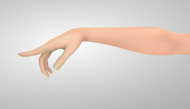 Female vector hand with a gesture pointing to the side