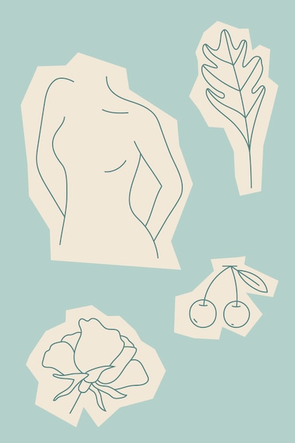 Feminine line art collection vector