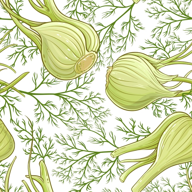 Fennel vector pattern