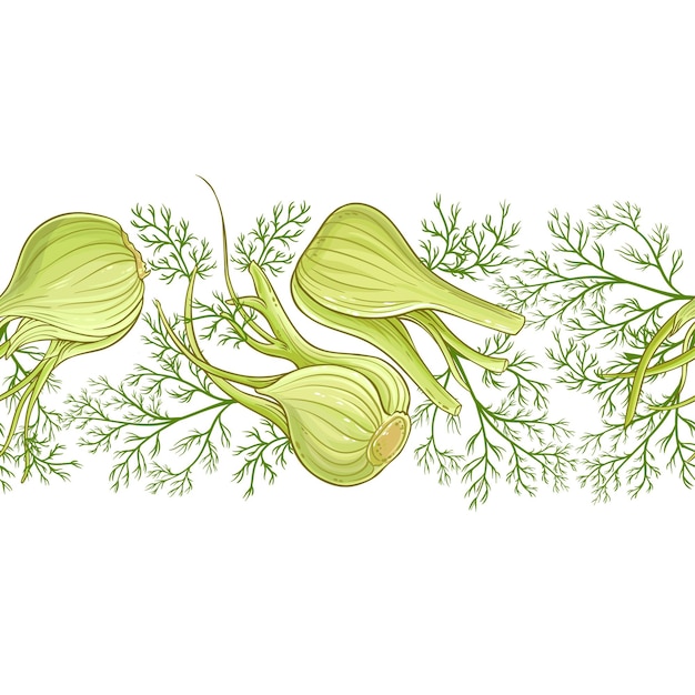 Vector fennel vector pattern