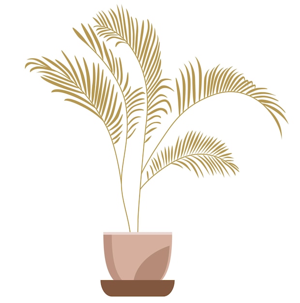 Vector fern bush plant in pot flat simple illustration isolated on white background