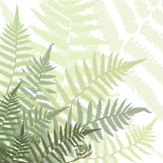 ベクトル シダのフォントは、分離された熱帯林のベクトルを葉します。カラフルな葉の背景、フラットなデザイン。