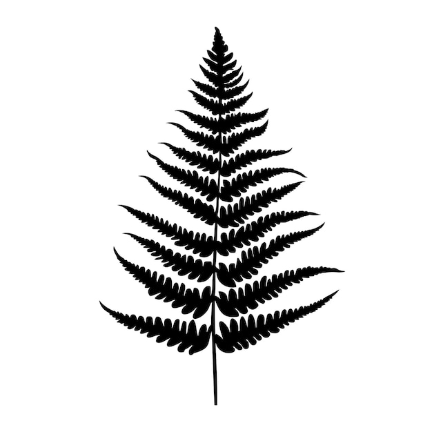 Vector fern leaf silhouette vector illustration