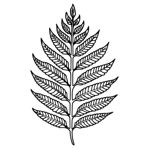 Vector fern lijn kunst vector illustratie set geïsoleerd op wit bloem zwarte inkt schets modern minimalistisch handgetekend ontwerp