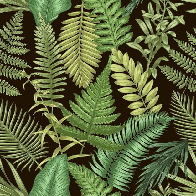 シダ パターン野生の森の植物のシームレスなプリント手描きのハーブの装飾的な要素ベクトル植物のテクスチャーと農村の壁紙