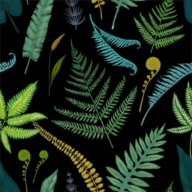 Vector fern pattern seamless texture with forest foliage bracken and horsetail green herbs decorative natural background template botanical print with hand drawn leaves vector nature mockup