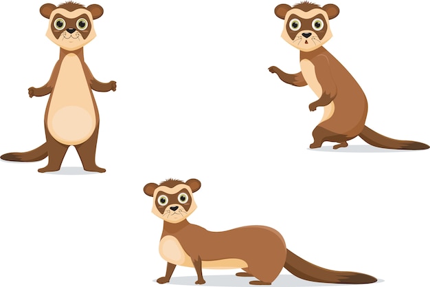 Ferret illustrations in different poses.