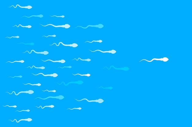 Fertilization of an egg with a sperm. The sperm cell leader. Sperm that runs towards the egg. Background of moving sperm. Vector illustration