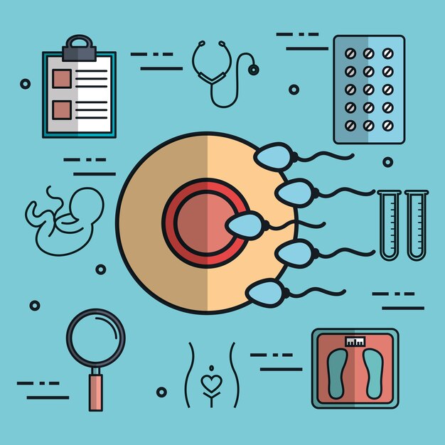 Fertilized egg with sperm reproductive medicine