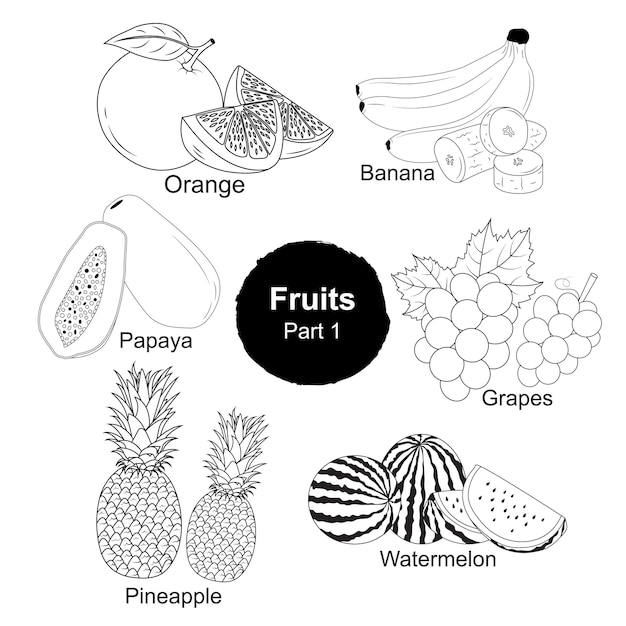 Vector fesh fruits hand drawn collection  part 1