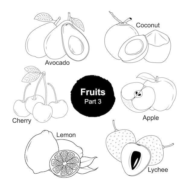 Fesh fruits hand drawn collection  Part 3