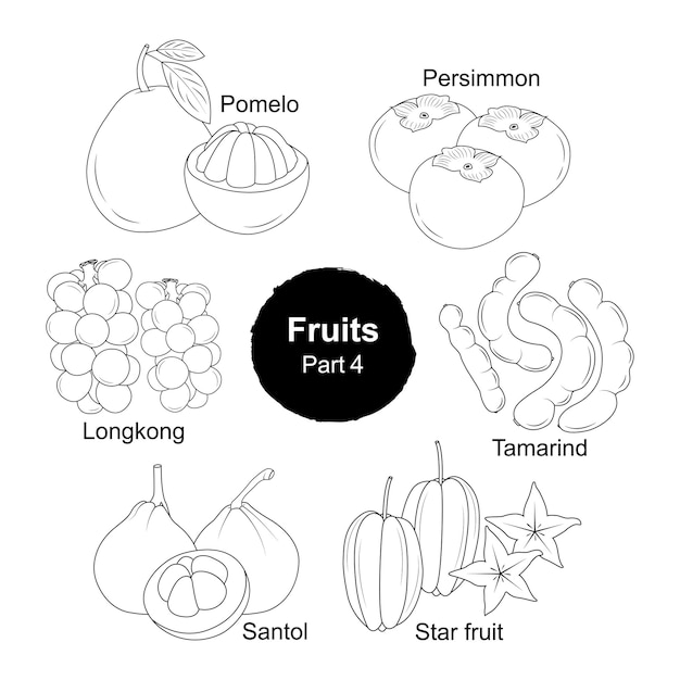 Fesh fruits hand drawn collection  Part 4