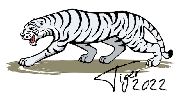 Banner festivo con una tigre bianca, simbolo del capodanno cinese 2022. schizzo. rilasciato su uno sfondo bianco. vettore.