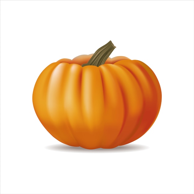 Vector festive orange realistic 3d pumpkin isolated on white.