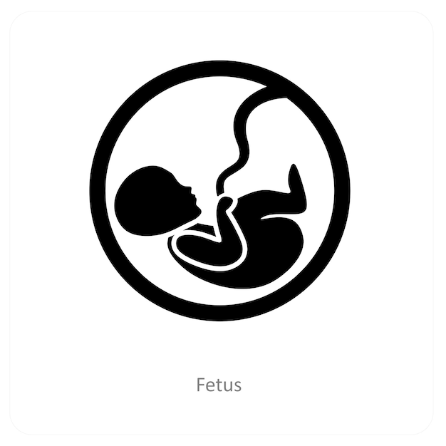 fetus and embryo icon concept