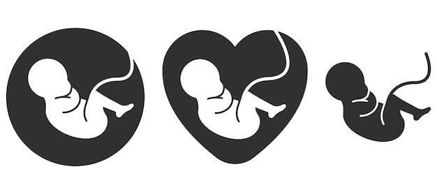 Vettore icona del feto bambino umano prenatale con il simbolo della placenta segno dell'embrione illustrazione vettoriale