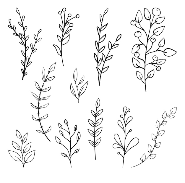 A few plants on a white background