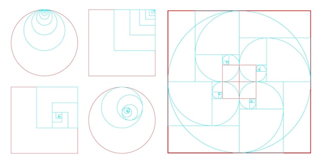 fibonacci ratio goddelijk aandeel geïsoleerd - 3d Illustratie