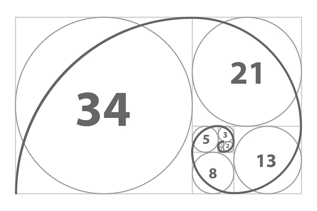 Fibonacci sequence of circles Golden ratio geometric concept Vector illustration