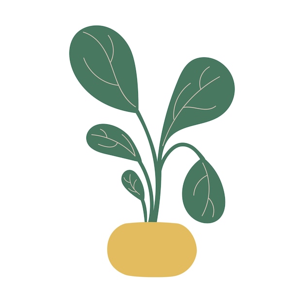 Ficus groeit in een potkamerplant doodle