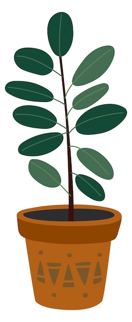 Vector ficus pot rubberplant groene huisdecoratie