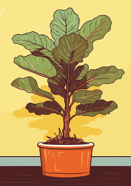 Vettore fiddleleaf fig piatto vettore illustrazione arte cartone animato piatto colorato illustrazione vettoriale