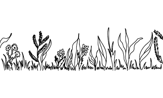 Fiori di campo disegnati a mano in stile doodle illustrazione vettoriale isolata su bianco pagina da colorare