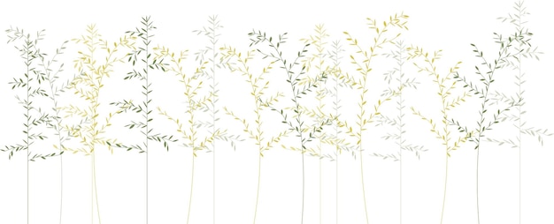 Field grass on a white background. Horizontal white banner or floral background.