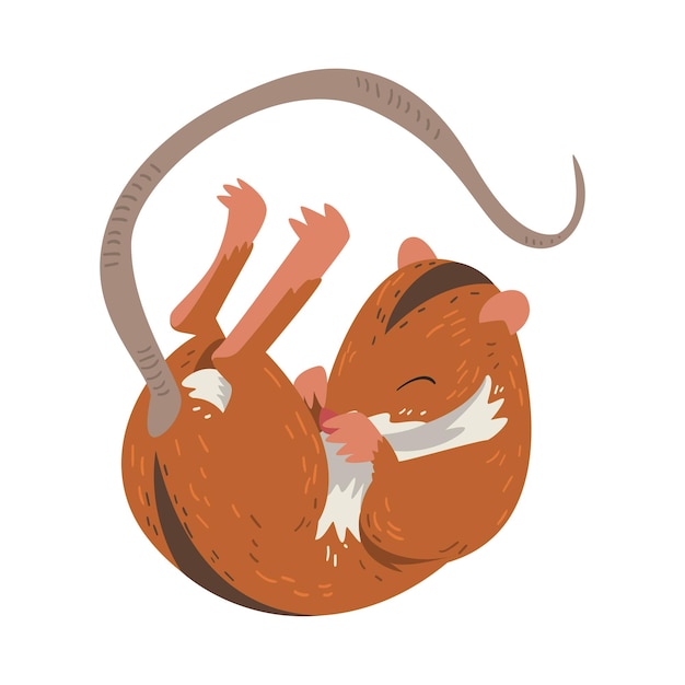 Field Mouse Sleeping on Its Back Fluffy Red Rodent Animal with Black Stripe Vector Illustration