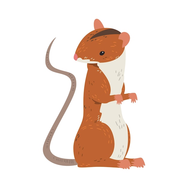 Vector field mouse standing on hind legs adorable red rodent animal vector illustration