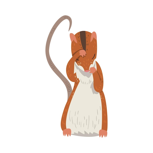 field mouse standing on hind legs cute red rodent animal front view vector illustration