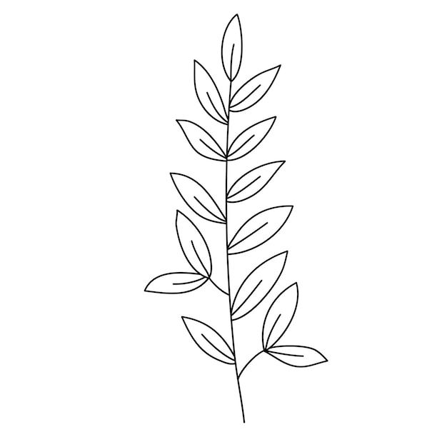 Field plant line vector, line flower vector, minimalist line design, wildplant vector