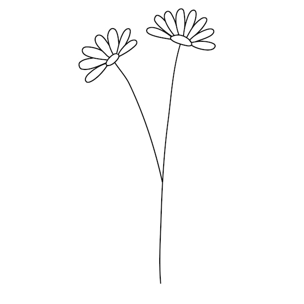 Field plant line vector, line flower vector, minimalist line design, wildplant vector