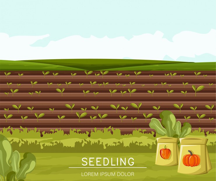 Vector field planted with seedling technique