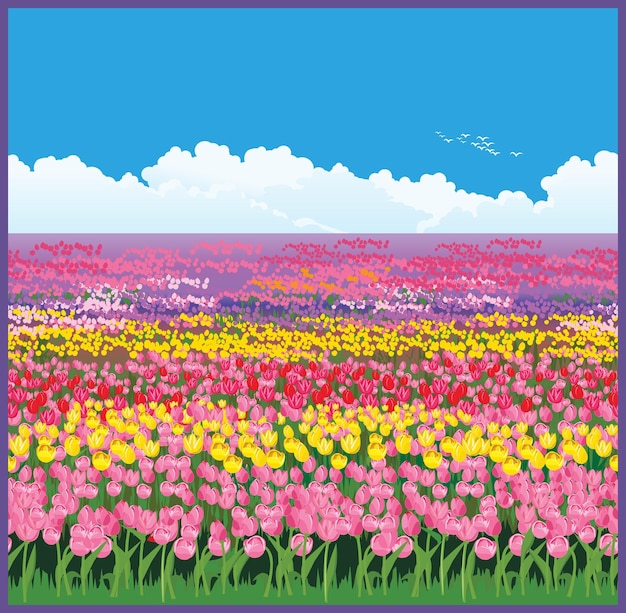 Vector field of tulips