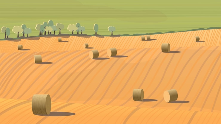 Vector a field with bales of hay in the background.