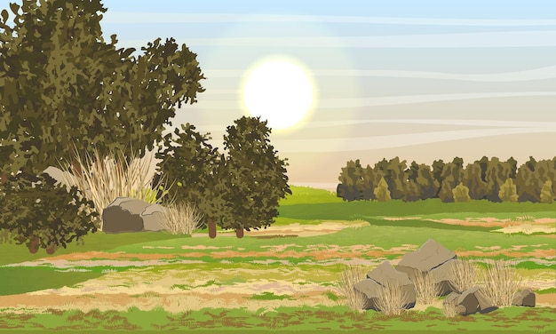 Vettore campo con erba verde e gialla pietre cespugli e alberi e foresta all'orizzonte